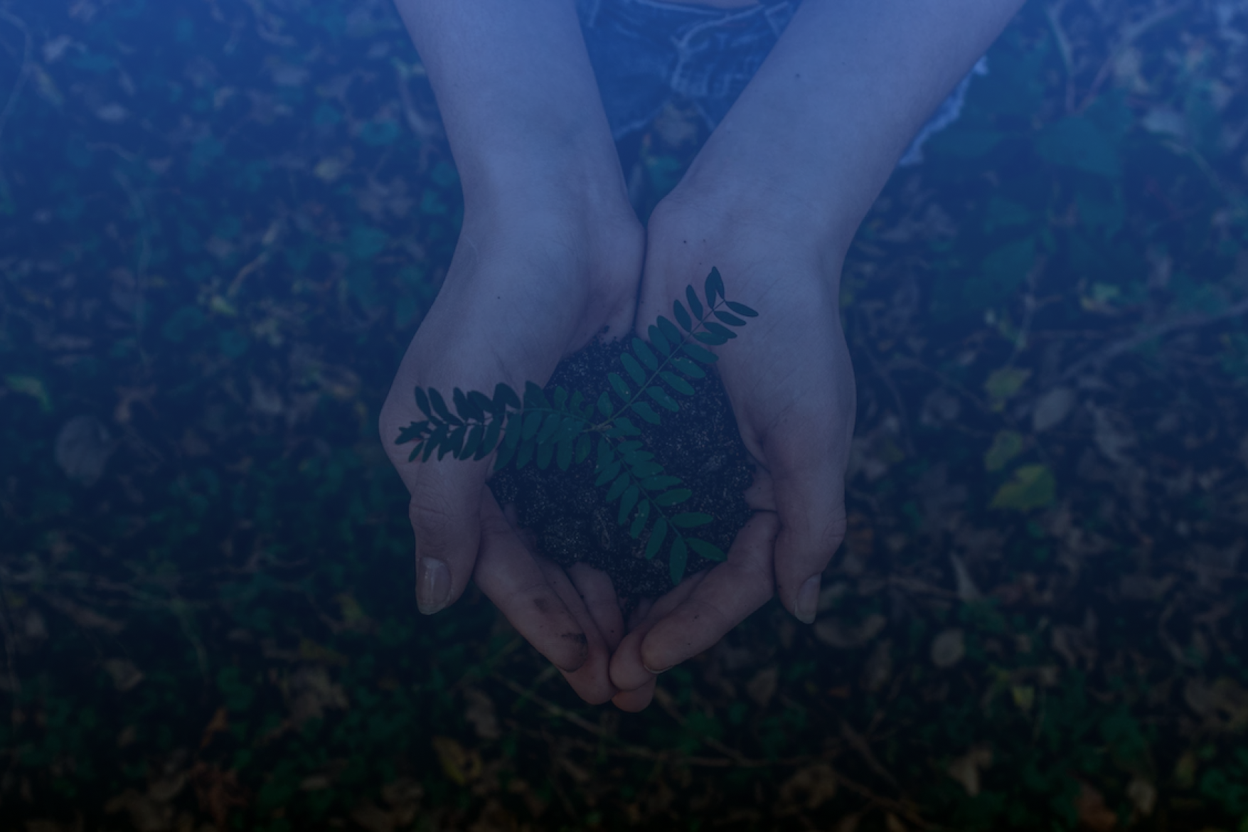 Sustainable procurement: Is your supply chain ESG-friendly?